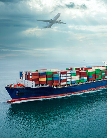 Fast And Reliable Shipping Guaranteey Trusted 